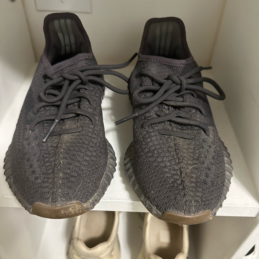 Yeezy boost 350 V2